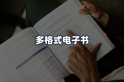 多格式电子书